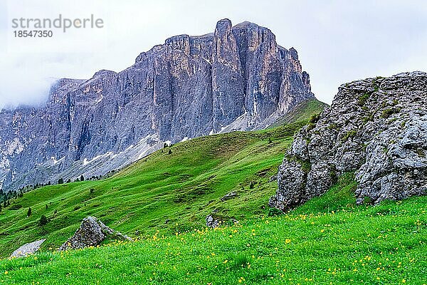 Schöne Landschaft der Dolomiten mit dem Hügel aus grünem Gras und gelben Blumen am Sellajoch in Südtirol  Trentino  Italien  Europa