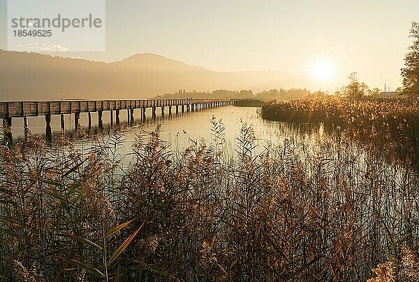 Lange hölzerne Pier und Promenade über den Zürichsee in der Nähe von rapperswill in goldenen Abendlicht mit Silhouette von Fußgängern und Menschen zu Fuß und Berge im Hintergrund und goldenen Sumpf Gras im Vordergrund