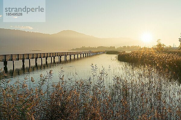 Langer Holzsteg und Promenade über den Zürichsee bei Rapperswil im goldenen Abendlicht mit Silhouette von Fußgängern und Spaziergängern und Bergen im Hintergrund und goldenem Sumpfgras im Vordergrund