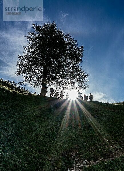 Eine Gruppe von Wanderern macht eine Pause und ruht sich unter einem Baum in der Silhouette aus  durch die die Sonne scheint