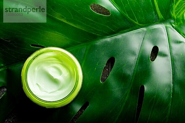 Kosmetische Creme in einem Behälter auf einem grünen monstera tropischen Blatt Draufsicht  Naturkosmetik und Bio Hautpflege Produkt Konzept. Creme für Gesicht und Körperpflege  flach legen Hintergrund mit Kopie Raum