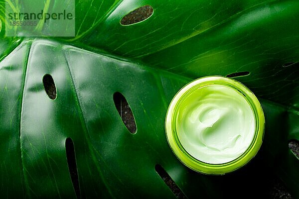 Kosmetische Creme in einem Behälter auf einem grünen monstera tropischen Blatt Draufsicht  Naturkosmetik und Bio Hautpflege Produkt Konzept. Creme für Gesicht und Körperpflege  flach legen Hintergrund mit Kopie Raum