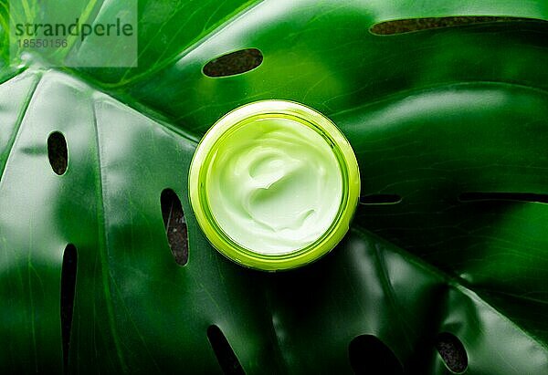 Kosmetische Creme in einem Behälter auf einem grünen monstera tropischen Blatt Draufsicht  Naturkosmetik und BioHautpflege Produktkonzept. Creme für Gesicht und Körperpflege  flach legen