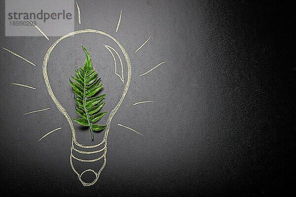 Grünes Blatt Draufsicht flach legen innerhalb einer elektrischen Glühbirne Hand gezeichnet auf schwarzer Kreidetafel Hintergrund  grüne nachhaltige erneuerbare Energie  Energieeinsparung und Ökologie-Konzept  Platz für Text