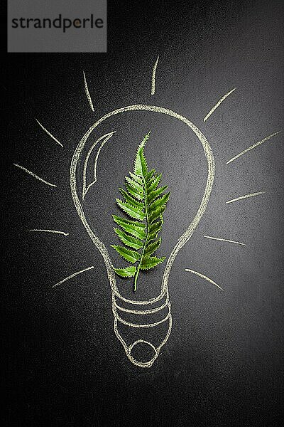 Grünes Blatt Draufsicht flach legen innerhalb einer elektrischen Glühbirne Hand gezeichnet auf schwarzer Kreidetafel  grün nachhaltige erneuerbare Energie  Energieeinsparung und Ökologie Konzept