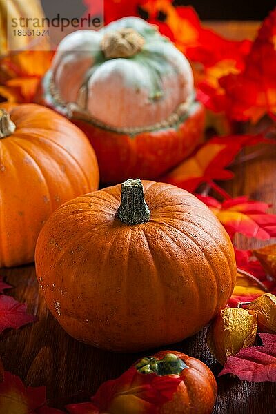 Traditionelle Kürbisse für Thanksgiving und Halloween in Herbstfarben