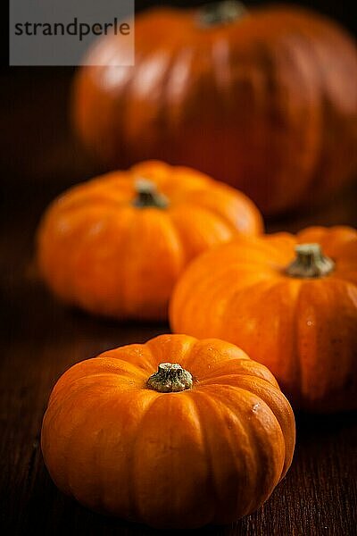 Traditionelle Kürbisse für Thanksgiving und Halloween