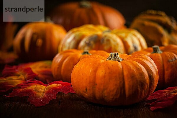 Traditionelle Kürbisse für Thanksgiving und Halloween