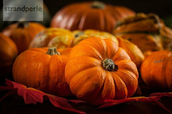 Kürbisse für Thanksgiving und Halloween