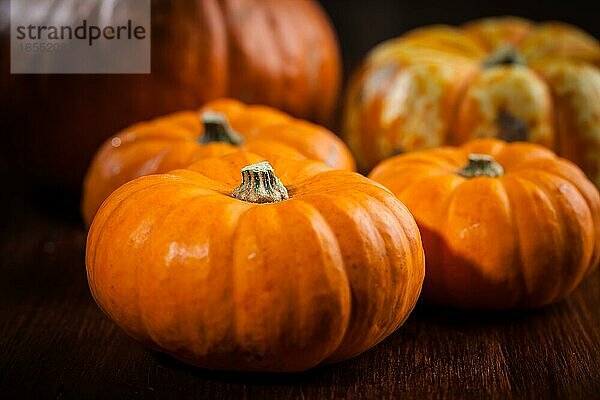 Kürbisse für Thanksgiving und Halloween