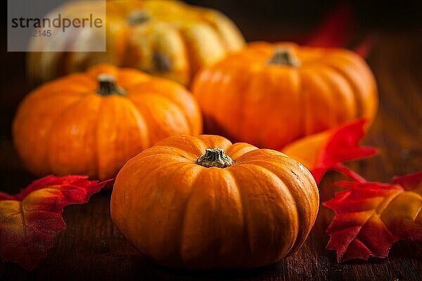 Kürbisse für Thanksgiving und Halloween