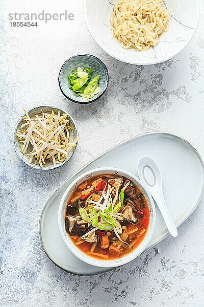 Asiatische Suppe mit Shiitakepilzen Nudeln  Gemüse und Bambussprossen