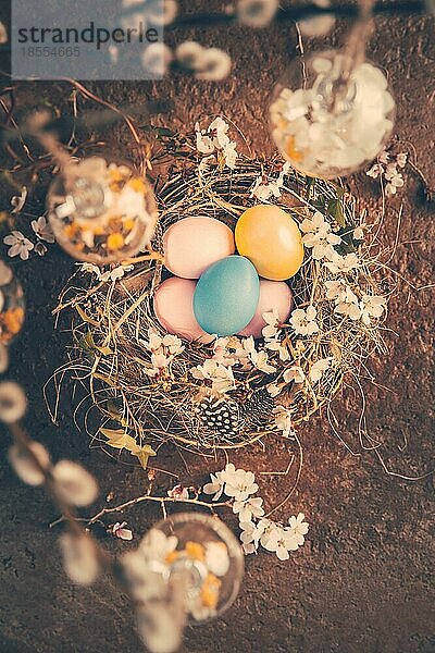 Nest mit Ostereiern und blühenden Zweigen mit Muschelweidenzweigen im Vintagestil dekoriert