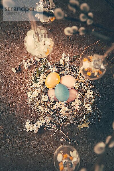 Nest mit Ostereiern und blühenden Zweigen mit Muschelweidenzweigen im Vintagestil dekoriert
