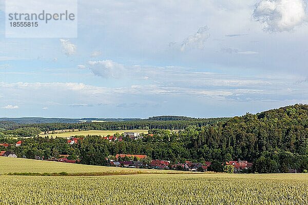 Gütersberge im Selketal Harz