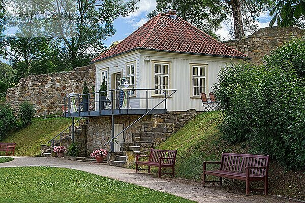Bilder aus dem Schlosspark Blankenburg Harz