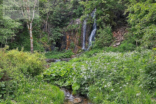 Wasserfall Königshütte Harz