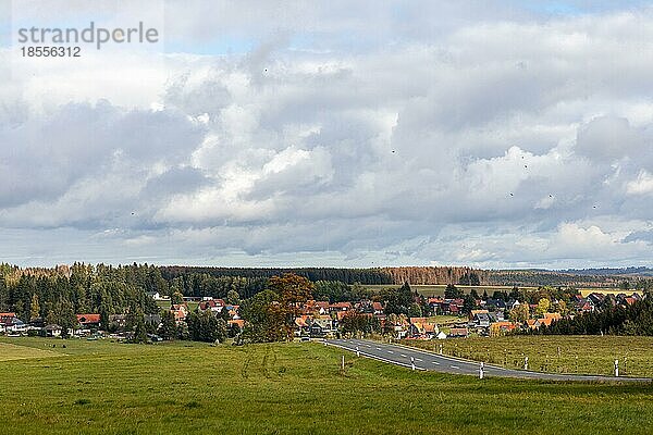 Harzlandschaft bei Beneckenstein Tanne Stadt Oberharz am Brocken