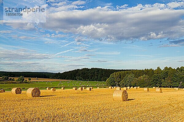 Strohballen Strohrollen Feld