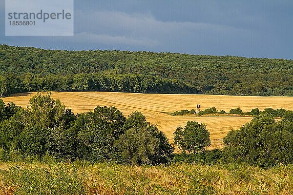 Blick in die Harzer Landschaft