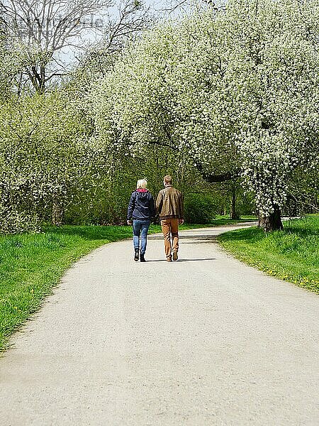 Rückansicht eines jungen Paares  das im Frühling in einem Park spazieren geht