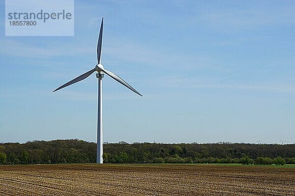 Einsame dreiflügelige Windkraftanlage auf einem Feld