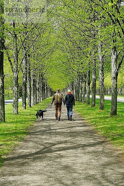 Rückansicht eines jungen Paares  das mit seinem Hund spazieren geht