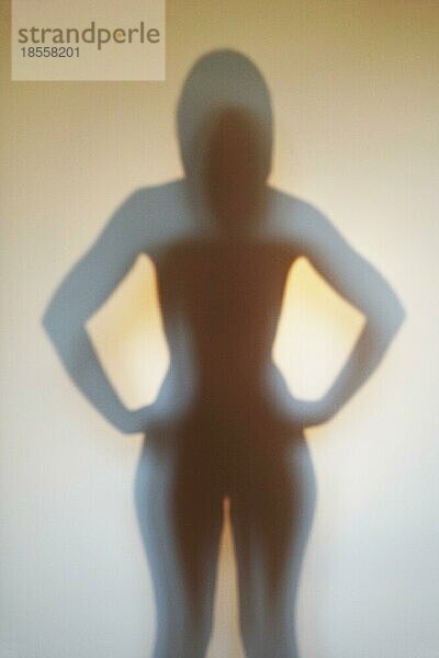 Silhouette einer anonymen Frau  wohlgeformter weiblicher Körper im Schatten