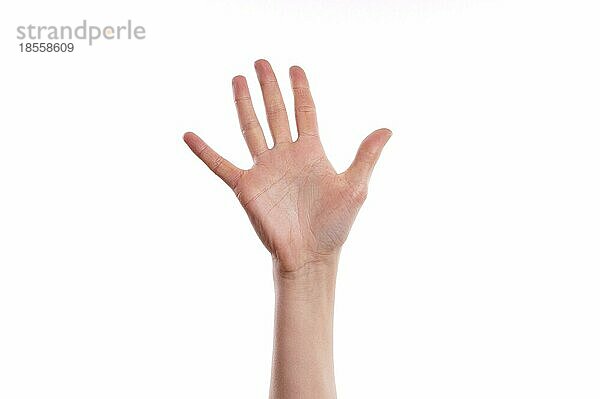 weibliche Hand