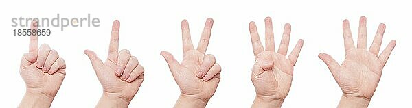 Handzeichen: eins  zwei  drei  vier  fünf