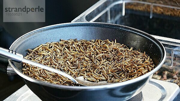 Bratpfanne voller gebratener Mehlwürmer an einem Marktstand  Entomophagie-Protein-Snack  Insekten als Nahrungsmittel  selektiver Fokus mit geringer Schärfentiefe