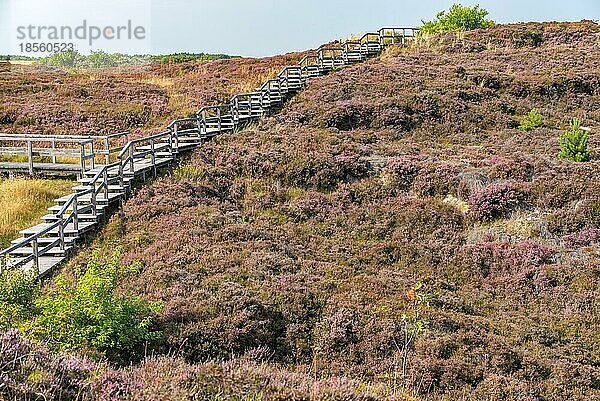 Naturschutzgebiet Braderuper Heide