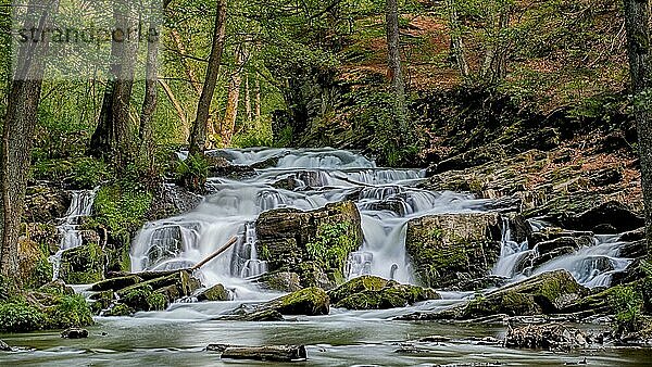 Selkewasserfall im Harz Wasserfall