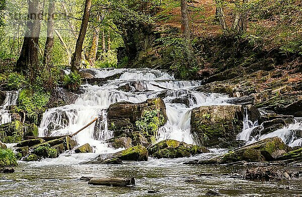 Selkewasserfall im Harz Wasserfall