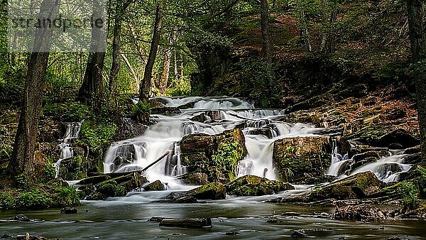 Selkewasserfall im Harz Wasserfall