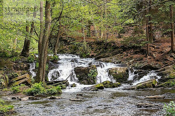 Selkewasserfall im Harz Wasserfall