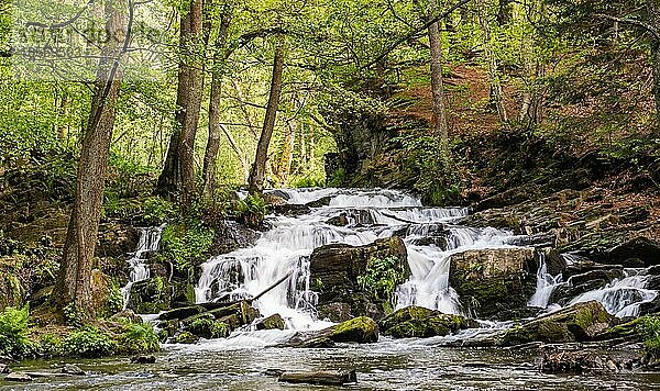 Selkewasserfall im Harz Wasserfall