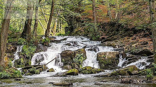 Selkewasserfall im Harz Wasserfall