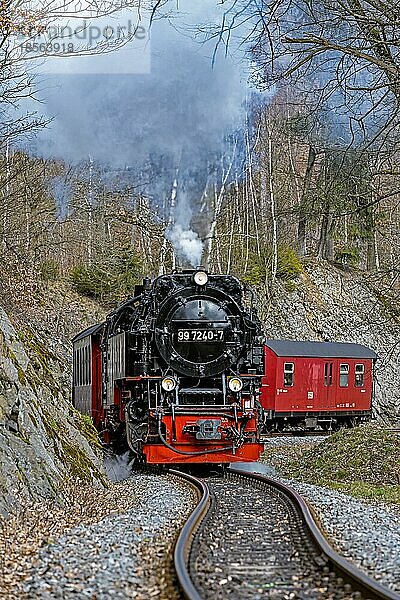 Harz nostalgisches Eisenbahnerlebnis im Selketal
