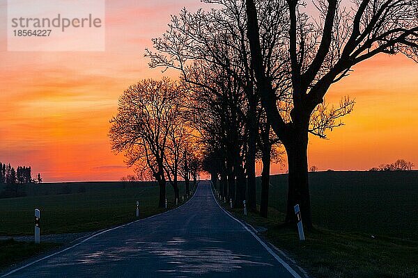 Straße in den Sonnenuntergang leere Straße