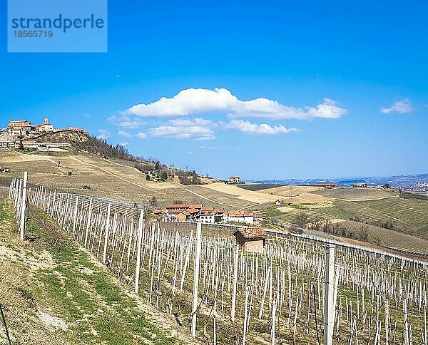 Barolo und Barbaresco Landschaft in der Region Piemont  Italien. Weinberg mit Traubenanbau für Rotwein