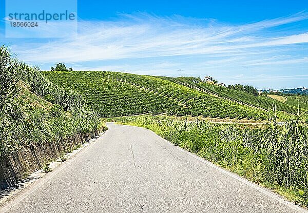 ASTI  ITALIEN CA. AUGUST 2020: Die piemontesischen Hügel in Italien  Gebiet Monferrato. Malerische Landschaft im Sommer mit Weinfeldern. Wunderbarer blaür Himmel im Hintergrund