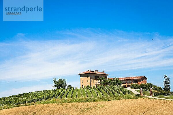 ASTI  ITALIEN CA. AUGUST 2020: Die piemontesischen Hügel in Italien  Gebiet Monferrato. Malerische Landschaft im Sommer mit Weinfeldern. Wunderbarer blaür Himmel im Hintergrund