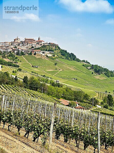 La Morra. Traditionelles Dorf in der Nähe von Barolo und Alba  in der Region Piemont  Italien  Europa