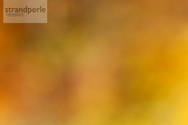 Textur Herbstfarben Hintergrund