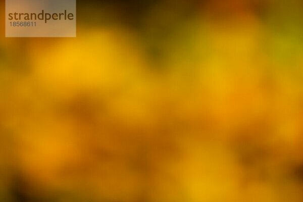 Textur Herbstfarben Hintergrund