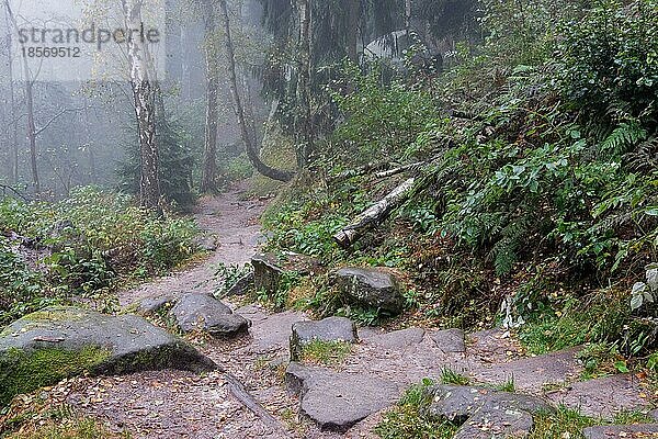 Nationalpark sächsische Schweiz Elbsandsteingebirge Lilienstein