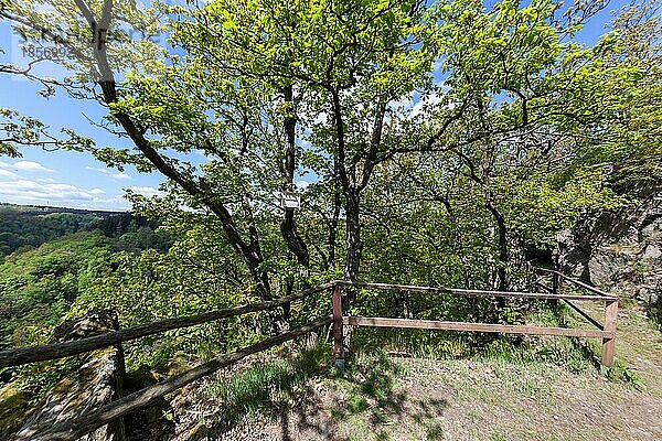 Fernwanderweg Selketal-Stieg Harz