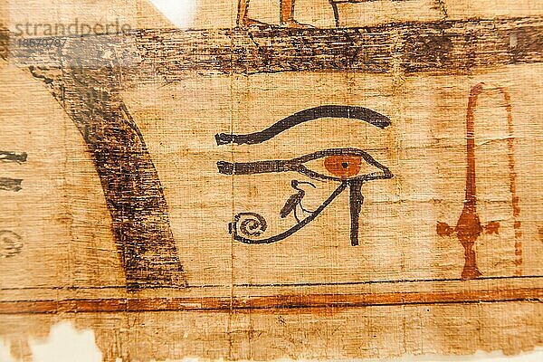 Detail des antiken Totenbuchs (1070 v. Chr.)  Theben Ägypten