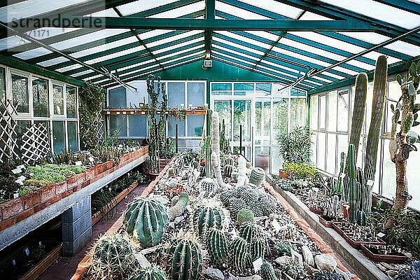Innenraum eines Kaktusgewächshauses  Detail des Pflanzbalkens